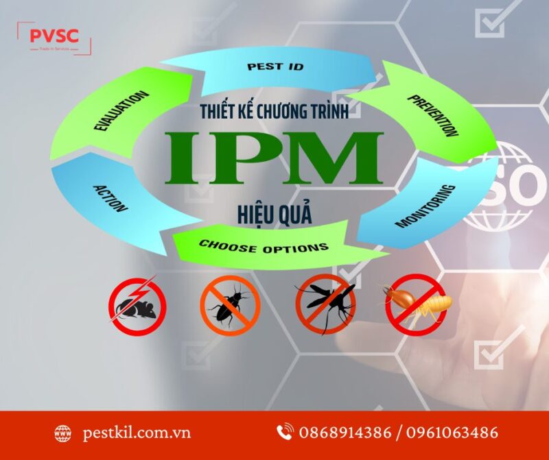 Tổng Quan Về Bệnh Hại Cây Trồng Việt Nam: Nhận Diện, Phòng Ngừa Và Giải Pháp Toàn Diện