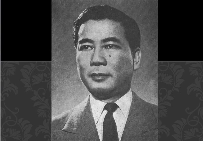 Có Nên Đặt Cây Lưỡi Hổ Trong Nhà Không? Lợi Ích Phong Thủy & Sức Khỏe Toàn Diện