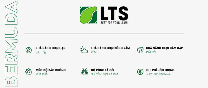 Tất Tần Tật Về Hình Ảnh Hoa Của Cây Sung: Cấu Tạo, Ý Nghĩa Và Cách Chăm Sóc