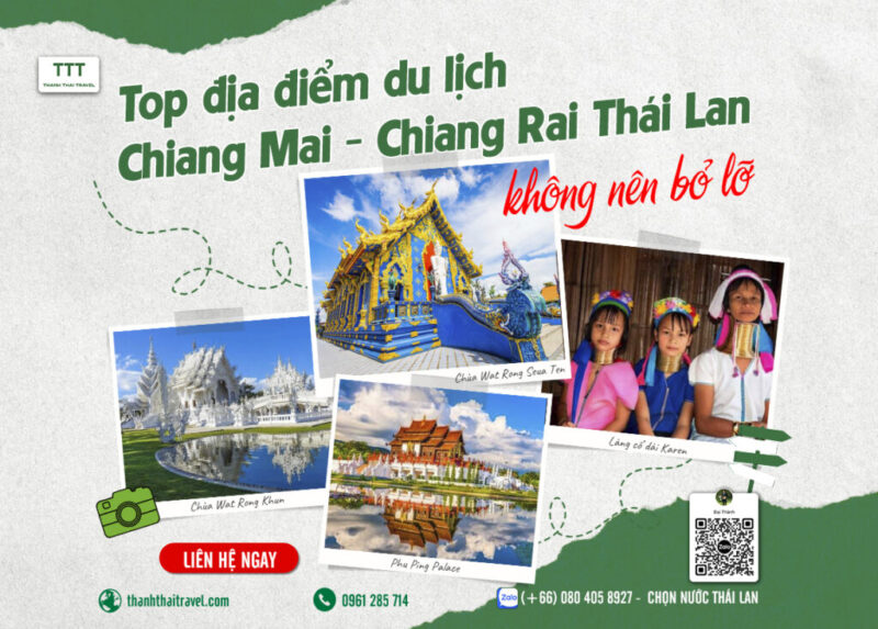 Top 10+ Cây Leo Đẹp Dễ Trồng Giúp Không Gian Sống Thêm Xanh Mát