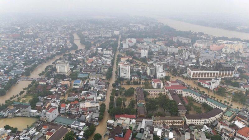 Có Nên Đặt Cây Lưỡi Hổ Trong Nhà Không? Lợi Ích Phong Thủy & Sức Khỏe Toàn Diện