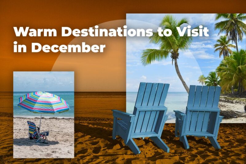 Tháng 10 Là Mùa Trái Cây Gì? Khám Phá Những Loại Quả Tươi Ngon Hấp Dẫn