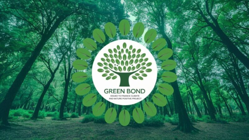 Tại Sao Quang Hợp Quyết Định Năng Suất Cây Trồng