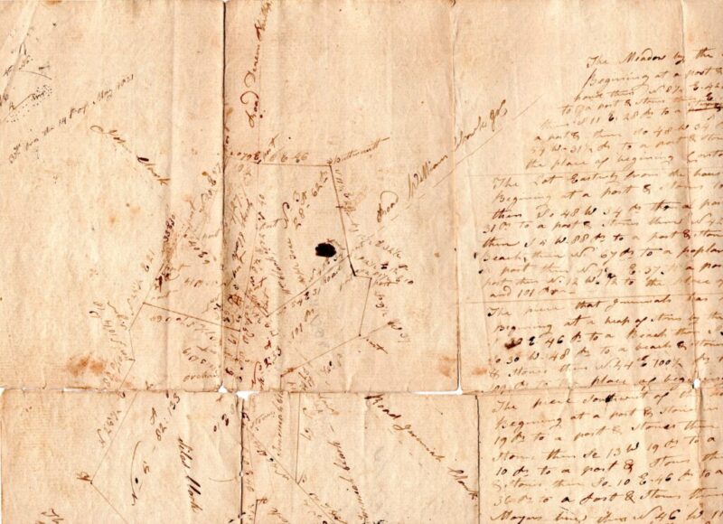 Cây Hoa Giấy Ngũ Sắc: Hướng Dẫn Trồng Và Chăm Sóc Toàn Diện Từ A Đến Z