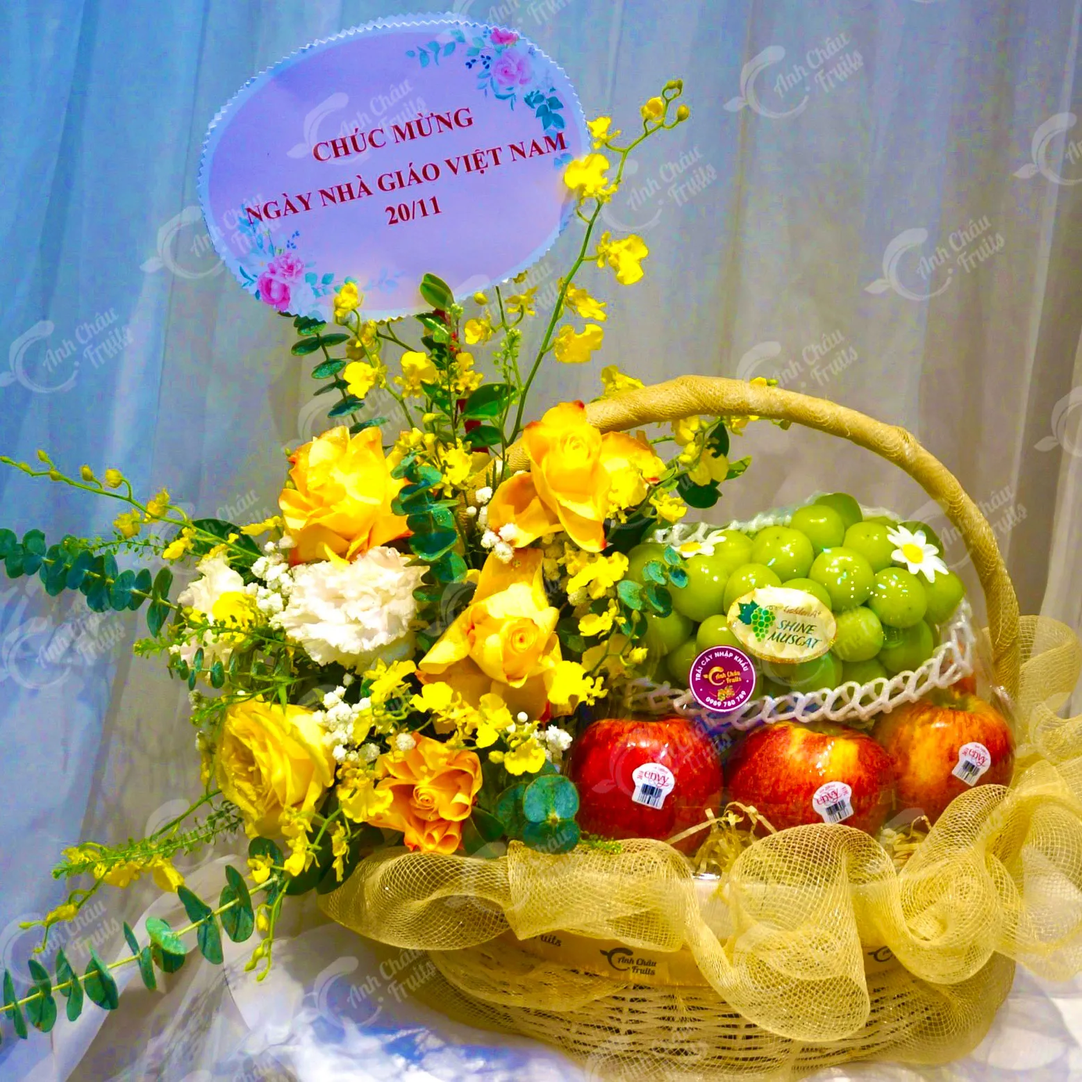 Mẫu giỏ quà với trái cây nhập khẩu cao cấp dành cho biếu tặng
