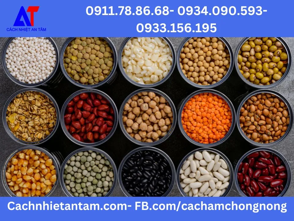 Hệ thống kho lạnh chuyên dụng để duy trì sức sống cho hạt giống F1