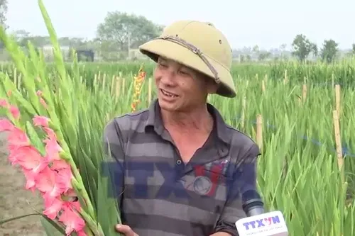 Phát triển vùng trồng hoa, cây cảnh gắn với du lịch nông thôn