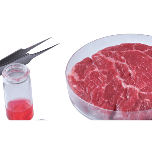 Quy Trình Trồng Rừng Bằng Cây Con Có Bầu: Hướng Dẫn Chi Tiết Từ A-Z