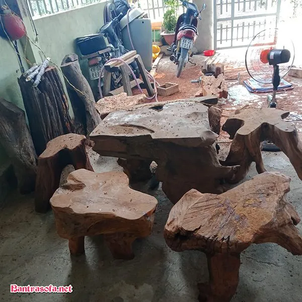 Quy trình xử lý cơ bản cho khối gỗ gốc cây