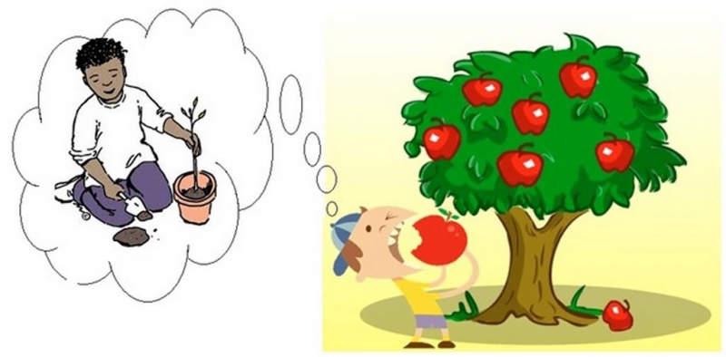 Ý Nghĩa Câu Ăn Quả Nhớ Kẻ Trồng Cây Và Bài Học Về Lòng Biết Ơn