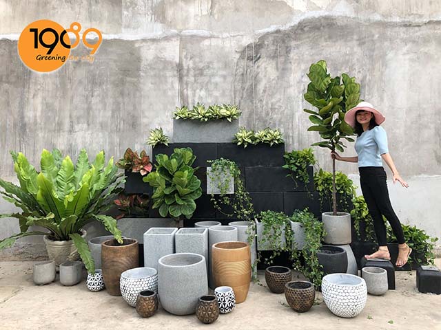 Bán Chậu Xi Măng Trồng Cây HCM: Lựa Chọn Sang Trọng Cho Không Gian Sống
