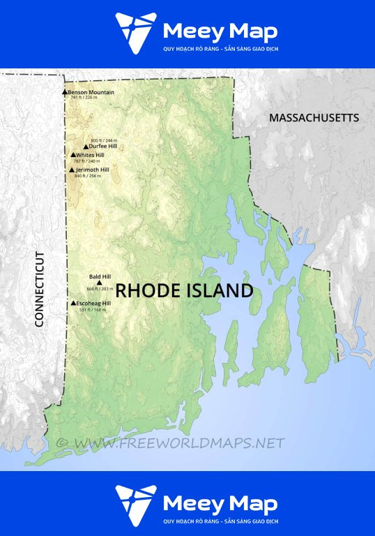 Khám Phá Thế Giới Cây Trồng Được Trong Nước: Hướng Dẫn Toàn Diện Từ A-Z