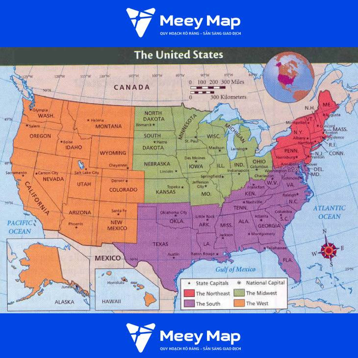 Khám Phá Thế Giới Cây Trồng Được Trong Nước: Hướng Dẫn Toàn Diện Từ A-Z