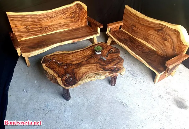 Ghế gốc cây làm từ gỗ me tây, phù hợp cho không gian sân vườn