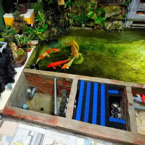 Hướng Dẫn Thi Công Hồ Cá Koi Mini Chuẩn Xác Với Cây Lau Nhà Mút Xốp Hiệu Quả