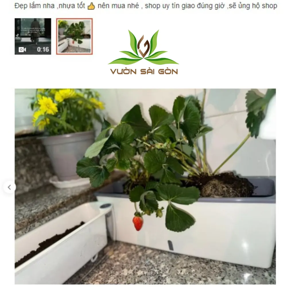 Đội ngũ chuyên gia luôn sẵn sàng tư vấn kỹ thuật trồng cây