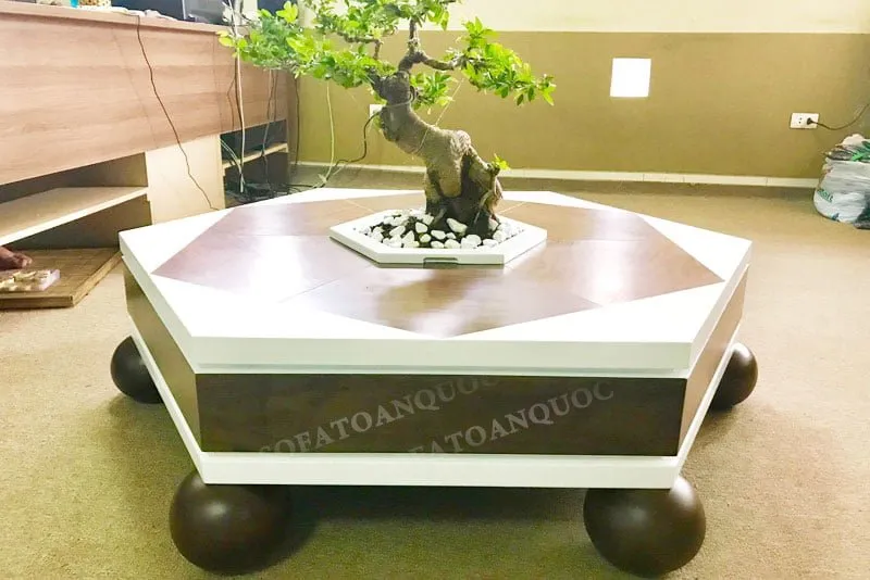 Chi tiết cây bonsai trên bàn trà gỗ với tạo hình tinh tế