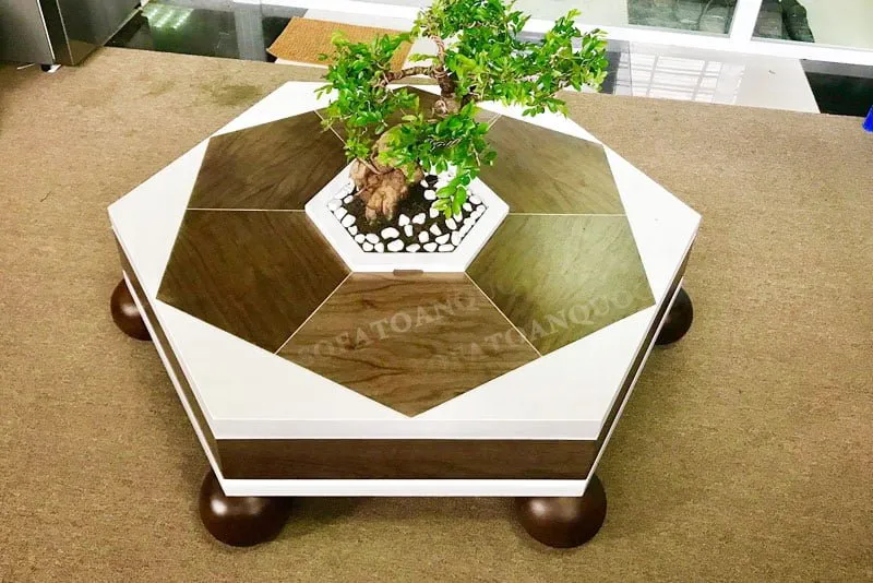 Cây bonsai mini trên bàn trà mang phong cách Nhật Bản tối giản