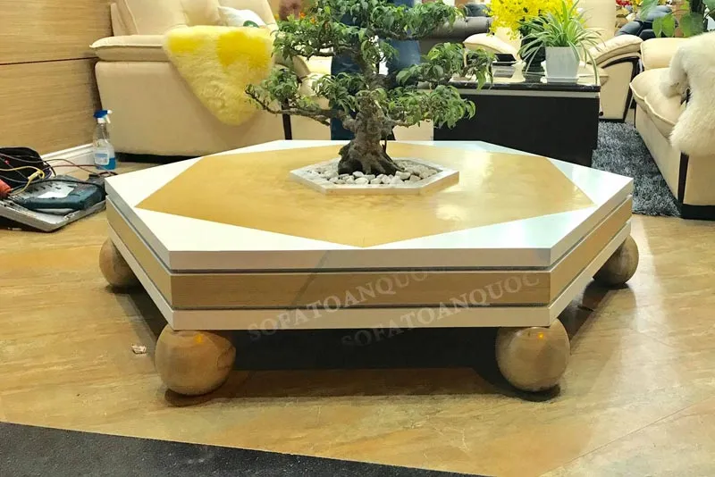 Bàn trà sofa với cây cảnh bonsai tạo không gian thư giãn lý tưởng
