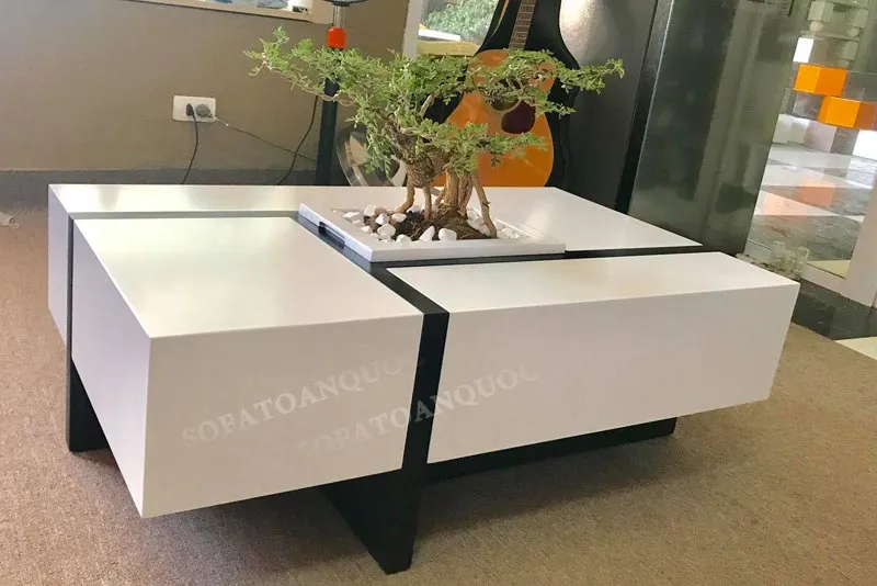 Góc nhìn khác của bàn trà sofa với cây cảnh trang trí hài hòa