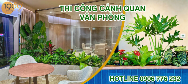 Biến Ban Công Thành Ốc Đảo Xanh: Dịch Vụ Trồng Cây Chuyên Nghiệp