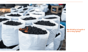 Bật mí cách tìm nguồn sỉ vật tư nông nghiệp chất lượng nhất 