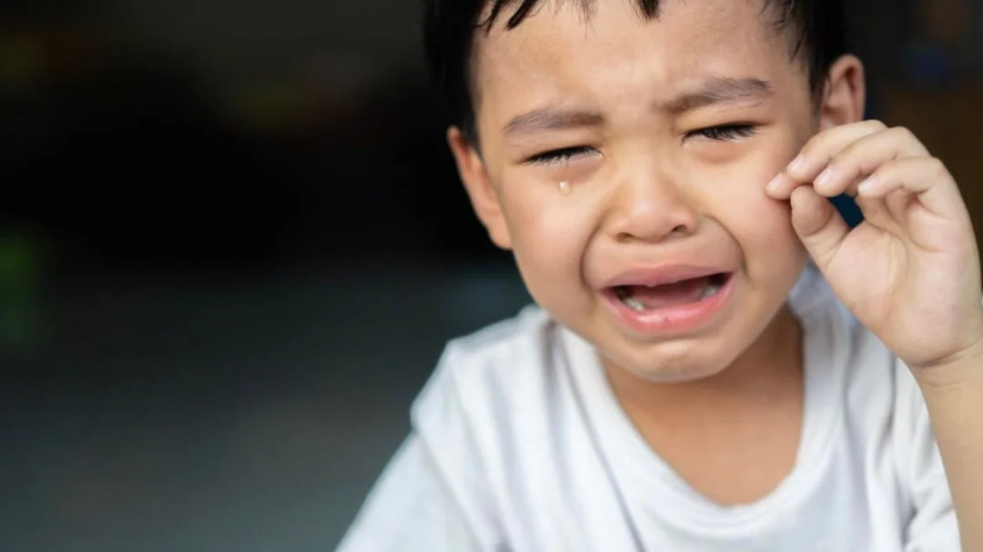 phòng ngừa bé bị côn trùng đốt sưng cứng bé bị côn trùng đốt sưng cứng cần phòng ngừa bằng chống muỗi đúng cách