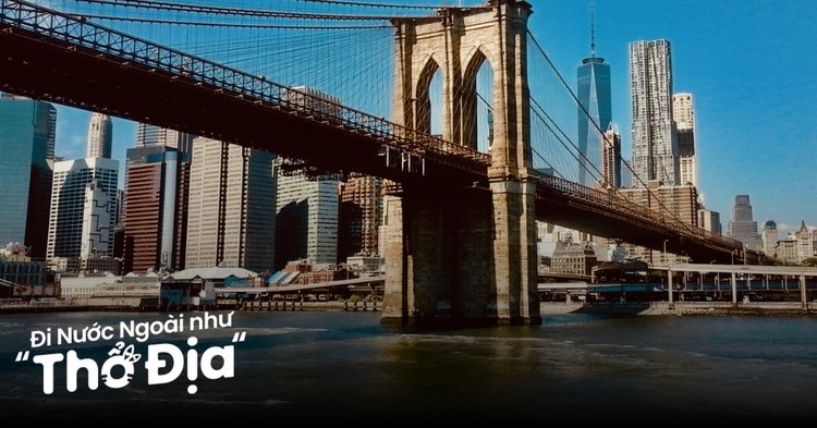 20 Loại Trái Cây Tốt Nhất Cho Người Tiểu Đường: Hướng Dẫn Chi Tiết Từ Chuyên Gia