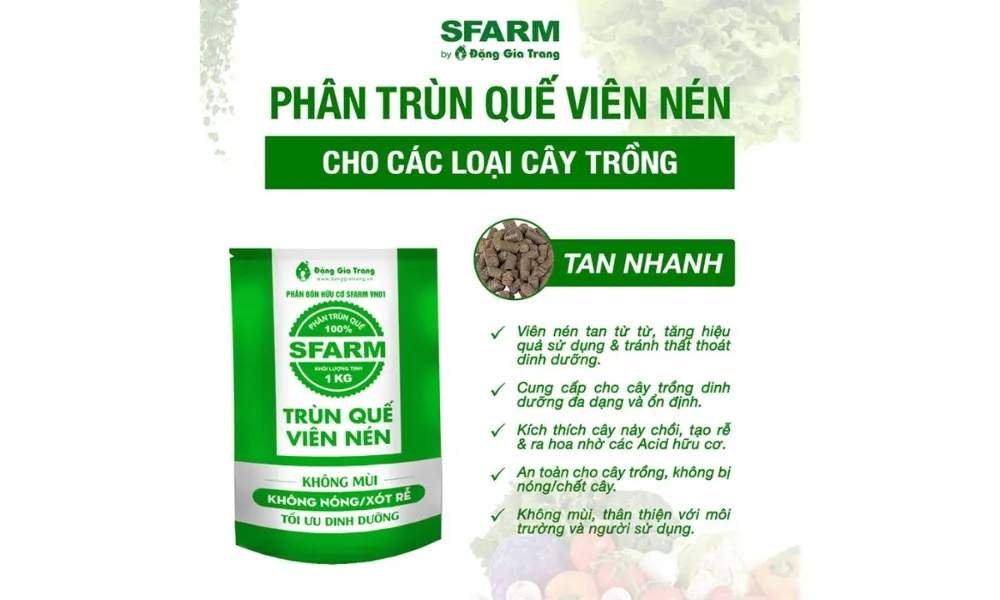 Phân bón thích hợp cho cách chăm sóc cây đào sau Tết