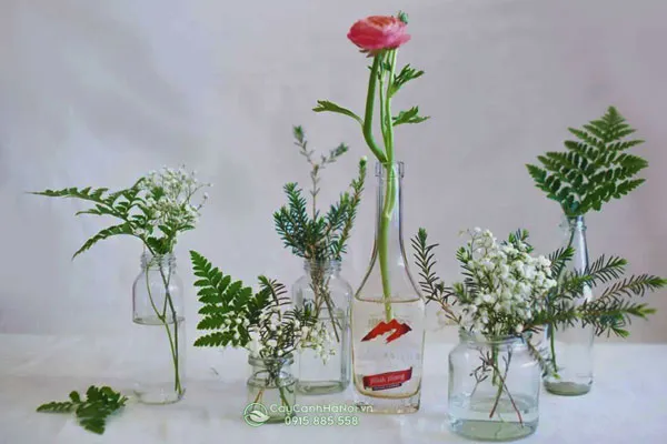 Bình cắm hoa bằng thủy tinh