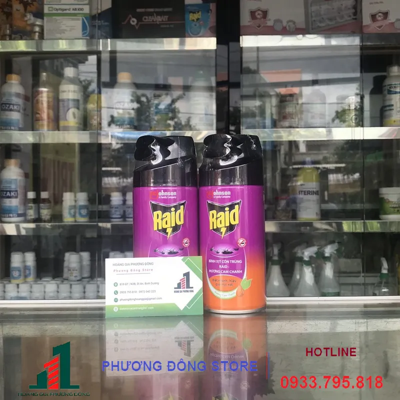 Bình xịt côn trùng Raid loại 300ml tiện dụng cho khu vực hẹp