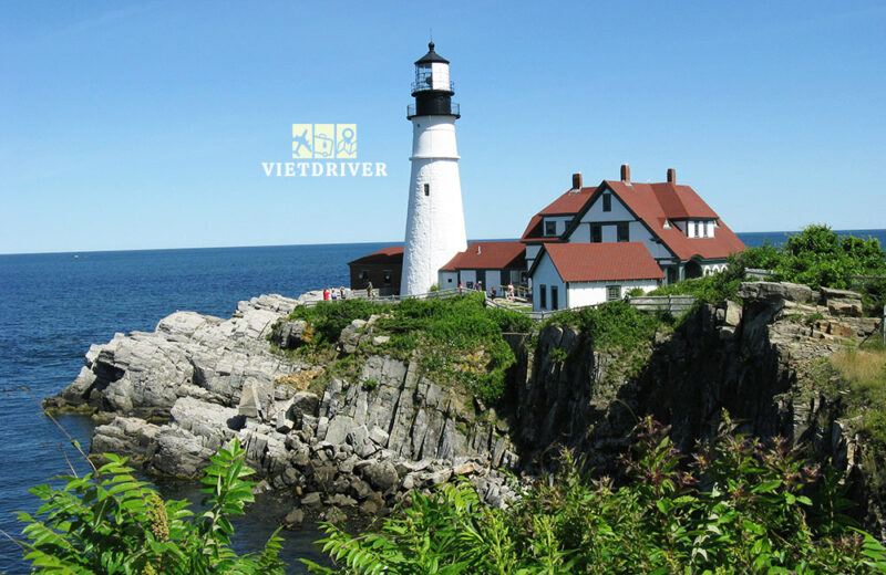 Đông Nam Bộ Trồng Nhiều Cây Gì? Khám Phá Tiềm Năng Nông Nghiệp Vùng Đất Vàng