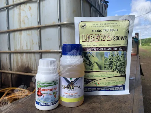 Bộ sản phẩm thuốc BVTV quản lý nấm bệnh thối gốc và héo Fusarium