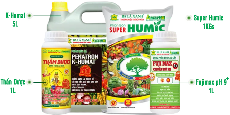 Bộ sản phẩm tăng trưởng và phục hồi cây trồng của phân bón ba lá xanh