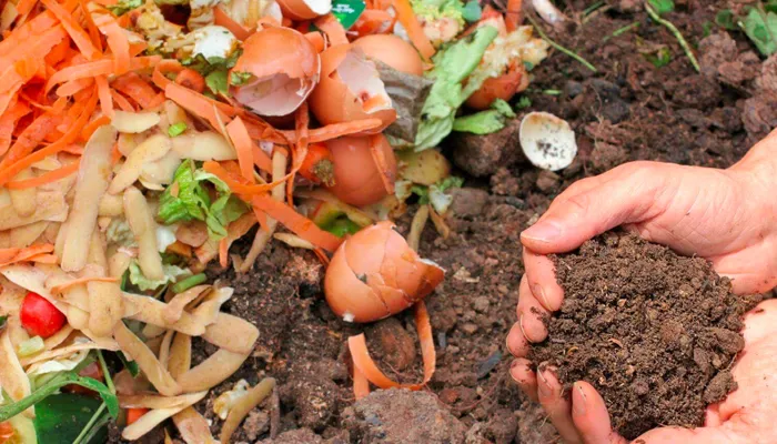 Bón chất hữu cơ cho đất