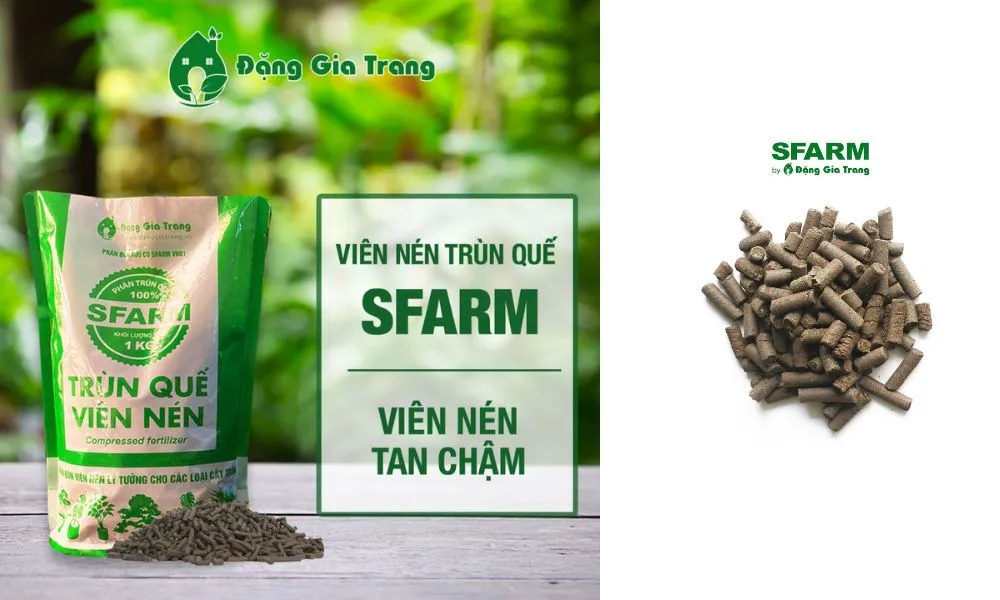 Viên nén trùn quế Sfarm tan chậm