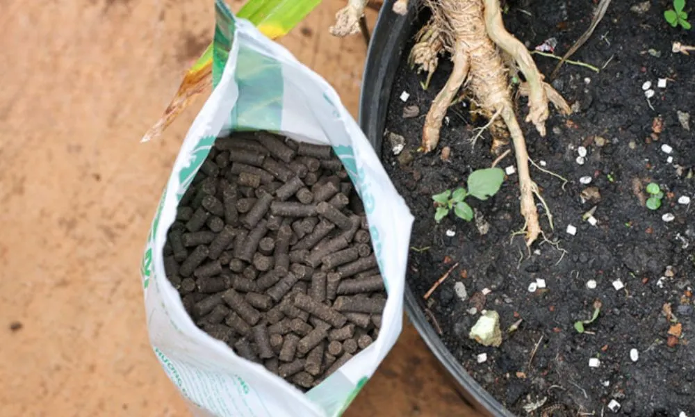 phân dạng viên nén SFARM