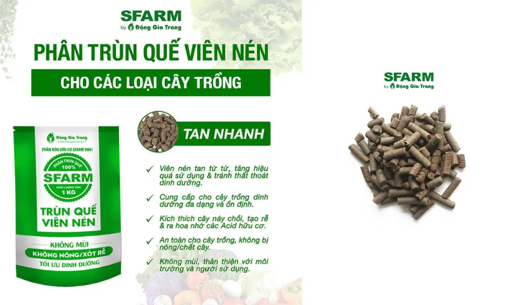 Phân trùn quế dạng viên nén không mùi