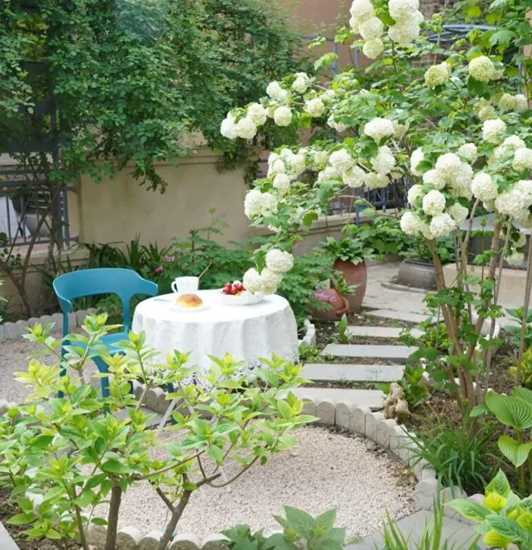 Những đóa hoa Bóng Tuyết nở rộ như những thiên thần nhỏ nhảy múa trong gió.