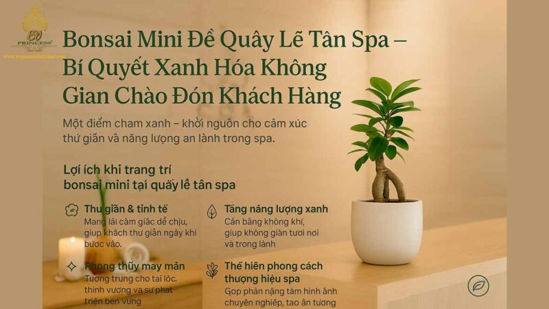 Bí Quyết Chọn và Bố Trí Chậu Cây Cảnh Trong Nhà Đẹp Hợp Phong Thủy