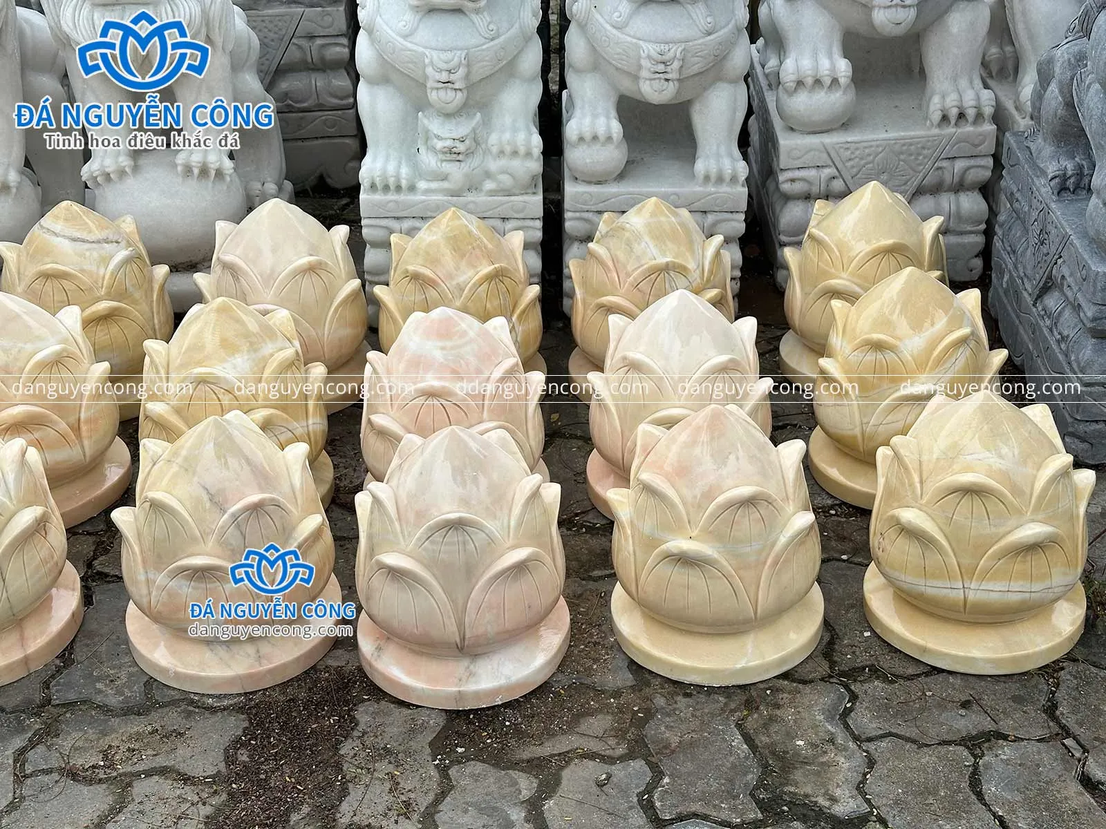 búp sen đá cẩm thạch vàng cam đẹp