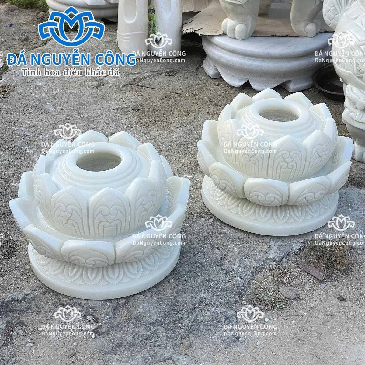 búp sen đá cao cấp