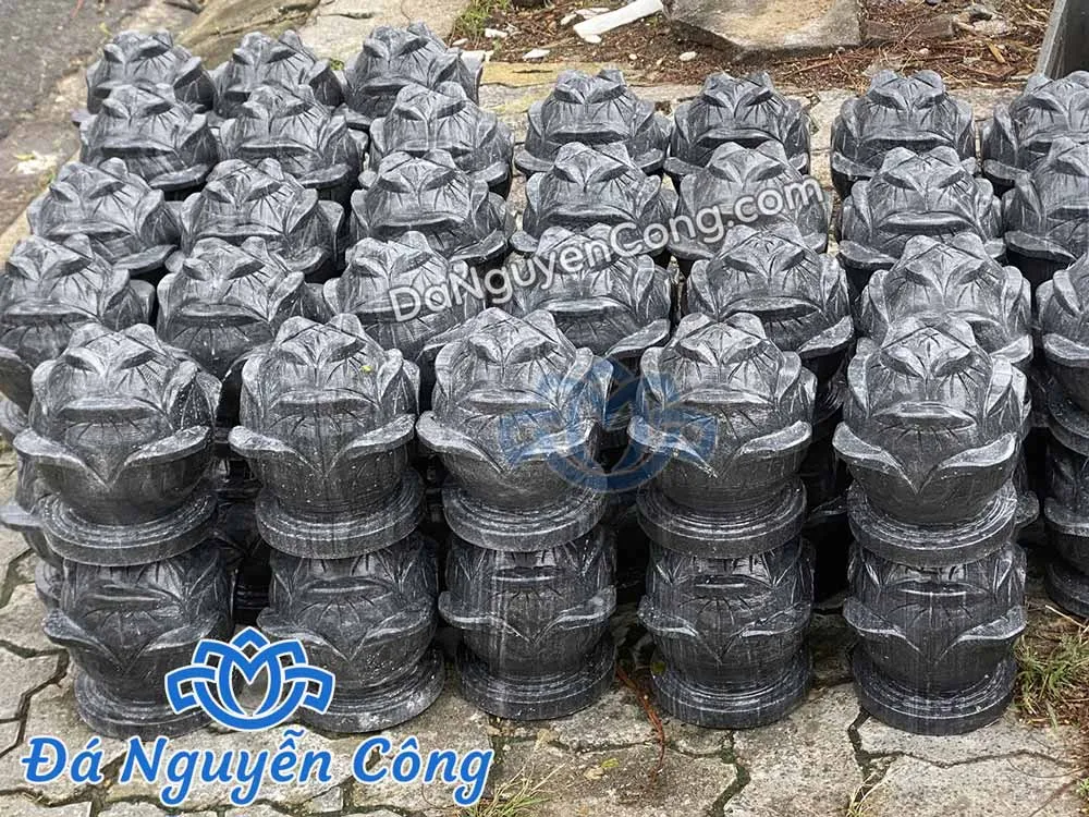 búp sen đá xanh đen
