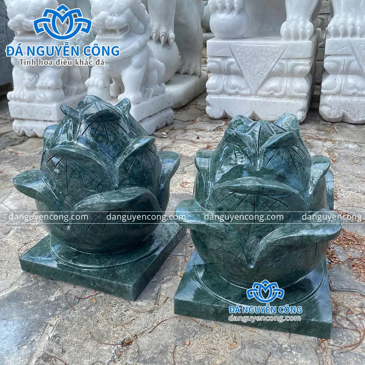 búp sen đá xanh ấn độ cao cấp