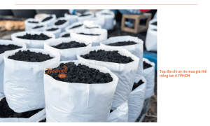 Các địa điểm mua giá thể trồng lan ở TP.HCM có thể bạn chưa biết