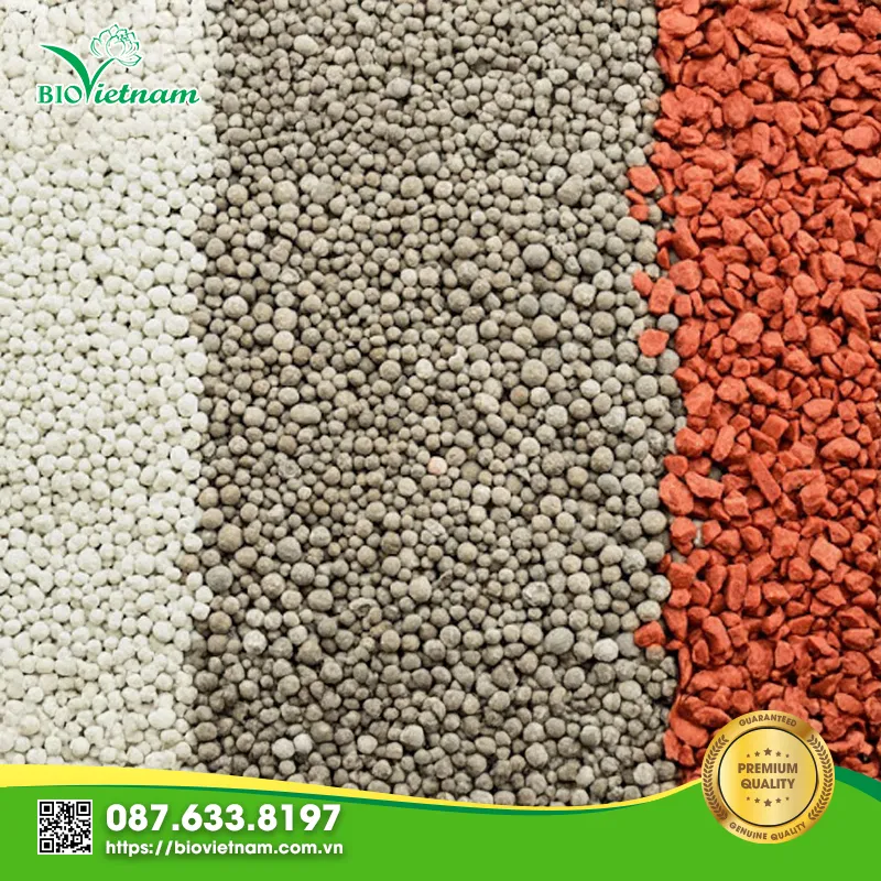 Các loại phân bón dạng hạt đa dạng thành phần và màu sắc phục vụ sản xuất nông nghiệp