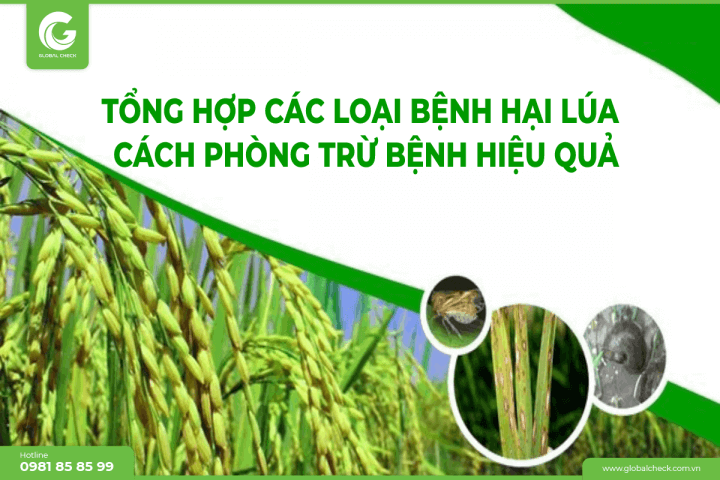 Tổng Hợp Các Loại Sâu Hại Cây Trồng Phổ Biến và Biện Pháp Phòng Chống Hiệu Quả