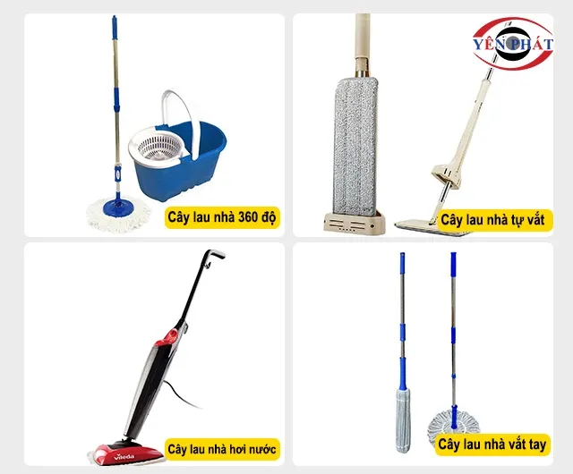 Các loại cây lau nhà