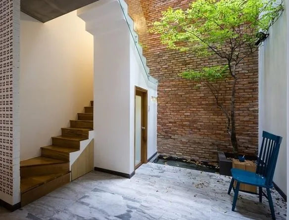 Cây khế cảnh bonsai trĩu quả mang lại vẻ đẹp bình dị cho sân trong