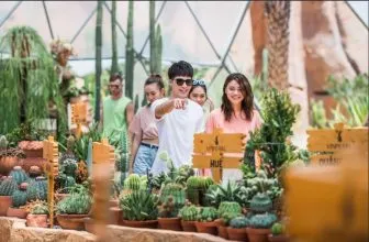 Vườn xương rồng độc đáo tại World Garden với hàng trăm loài quý hiếm